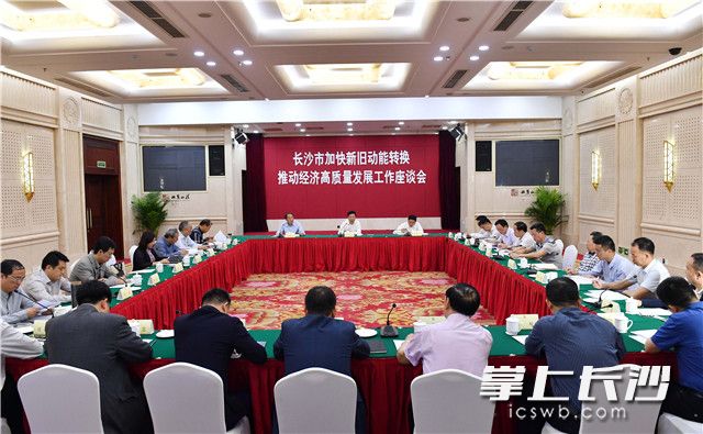 马孝武董事长出席新旧动能转换和高质量发展座谈会并作发